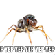 Illustration for article titled Spiders Are Adorable And You Know It